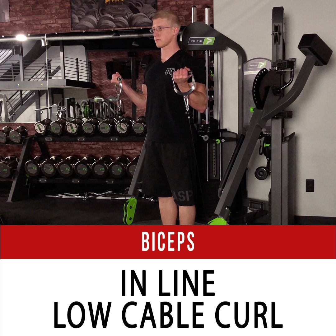 Biceps In Line Low Cable Curl