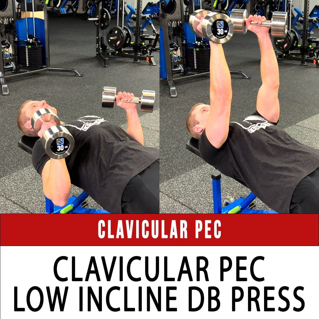 Clavicular Pec Incline DB Press