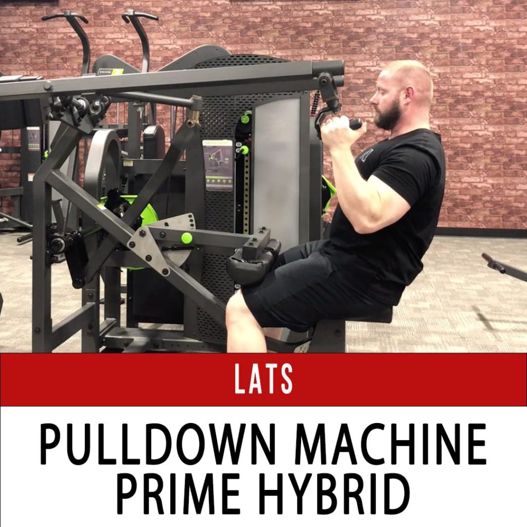 Pulldown Machine - N1 Training