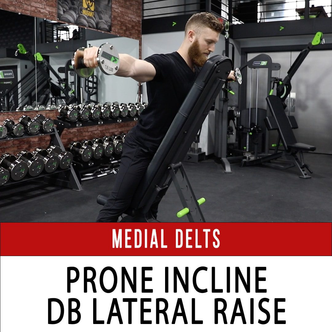 Medial Delt Prone Incline DB Lateral Raise