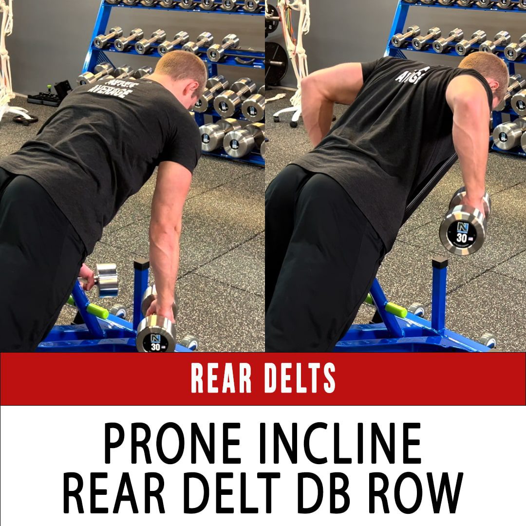 Trap 1 / Upper Trap N1 Training