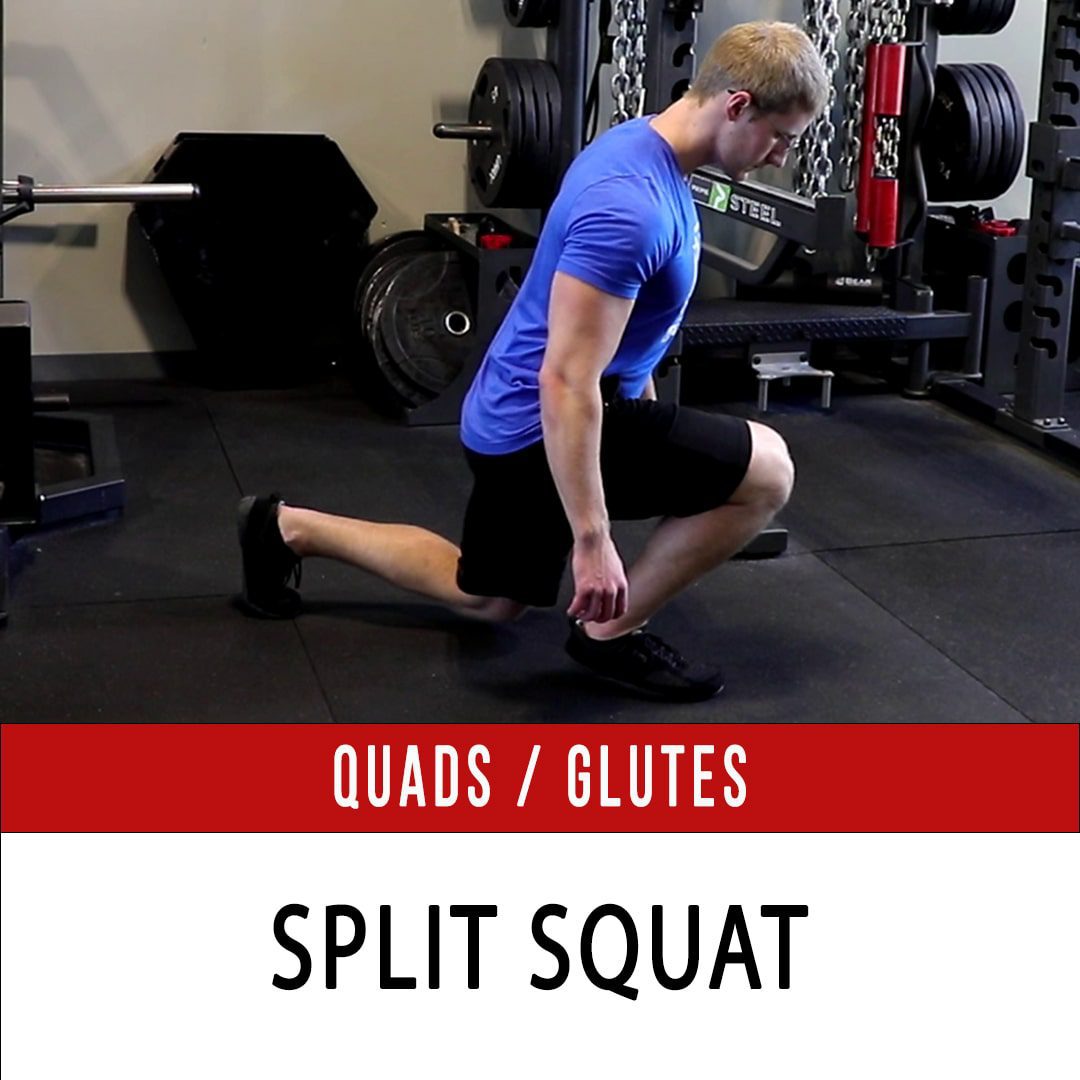 Split Squats Archives - N1 Training