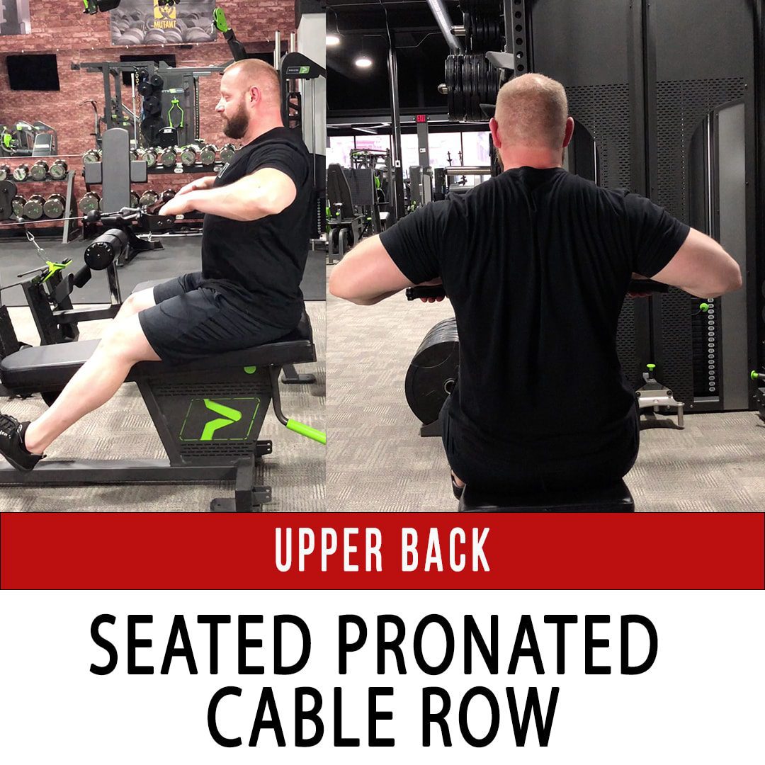 Upper Back Seated Pronated Cable Row