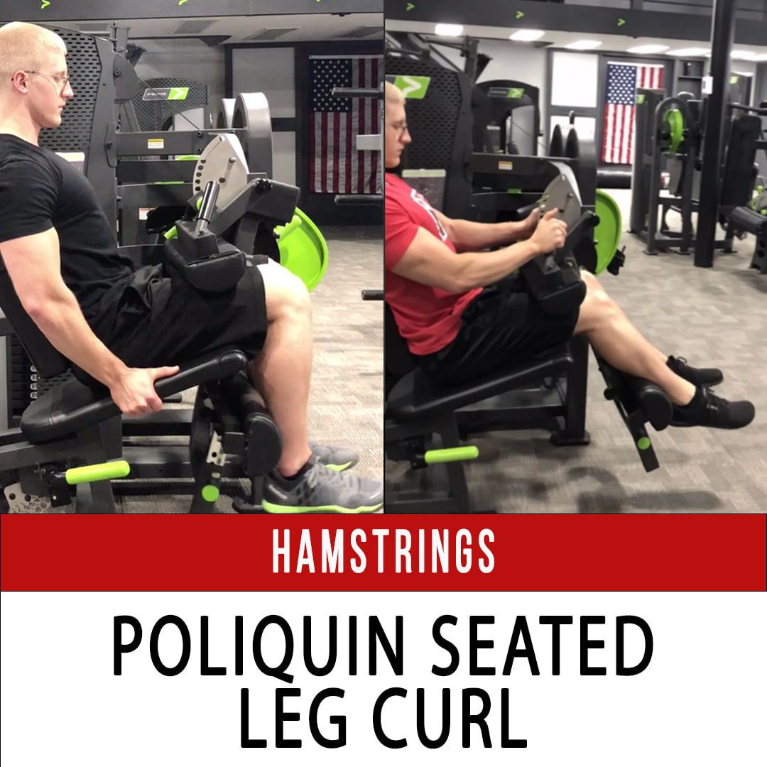 Seated Leg Curl N1 Training 2995