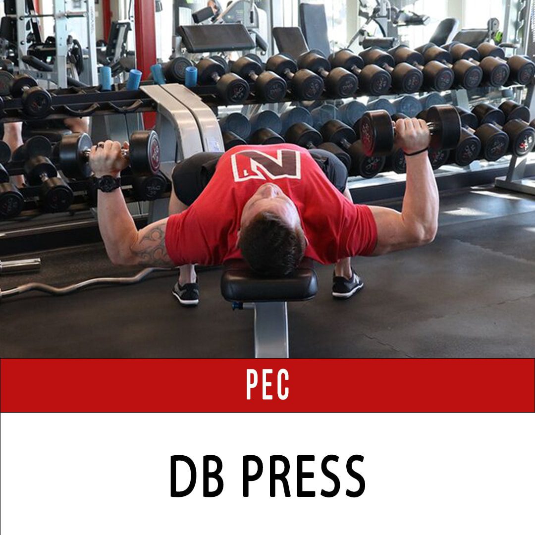 Chest DB Press