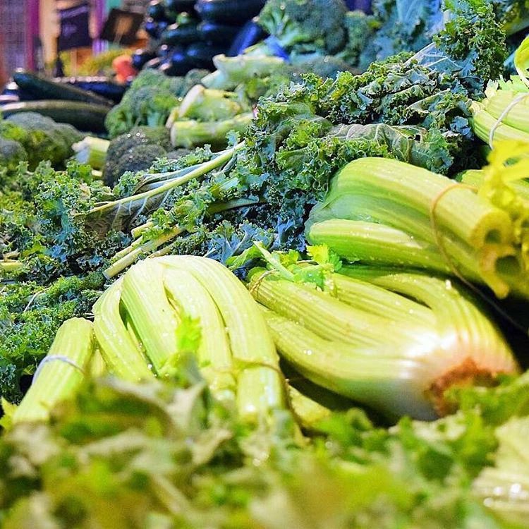 Fiber Is A Valuable Nutrient N1 Training