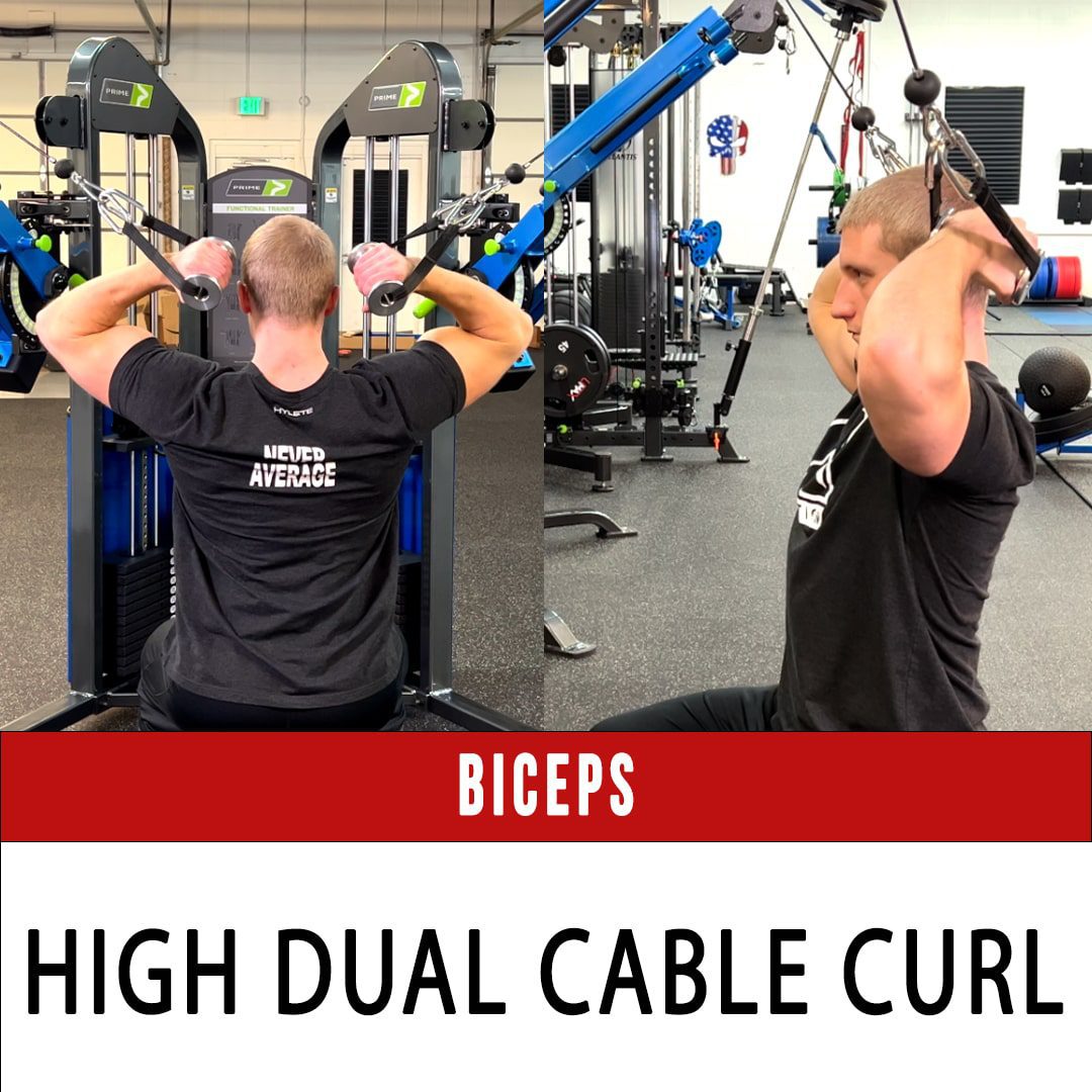 Biceps High Cable Curl