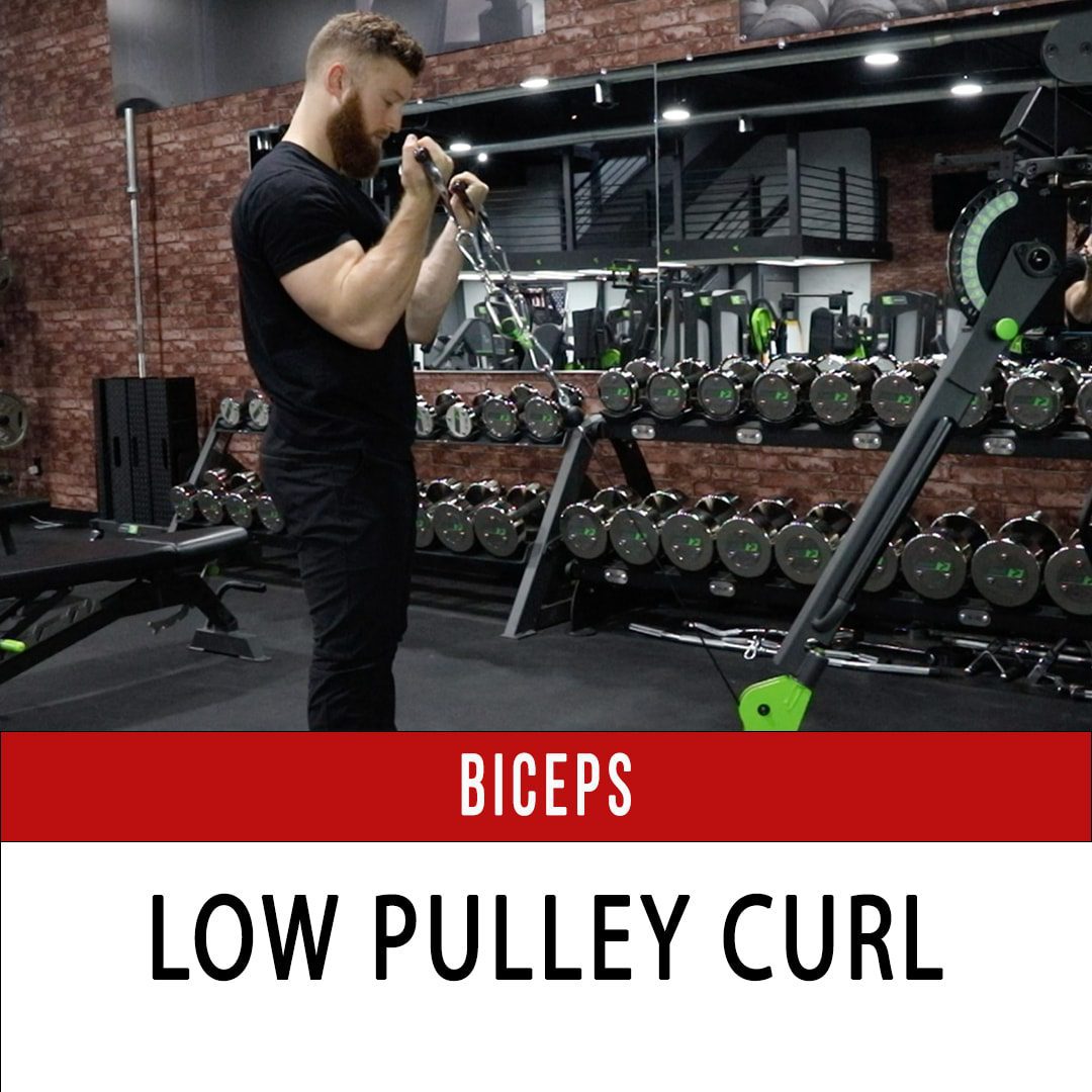 Biceps Curl Low Pulley Facing In