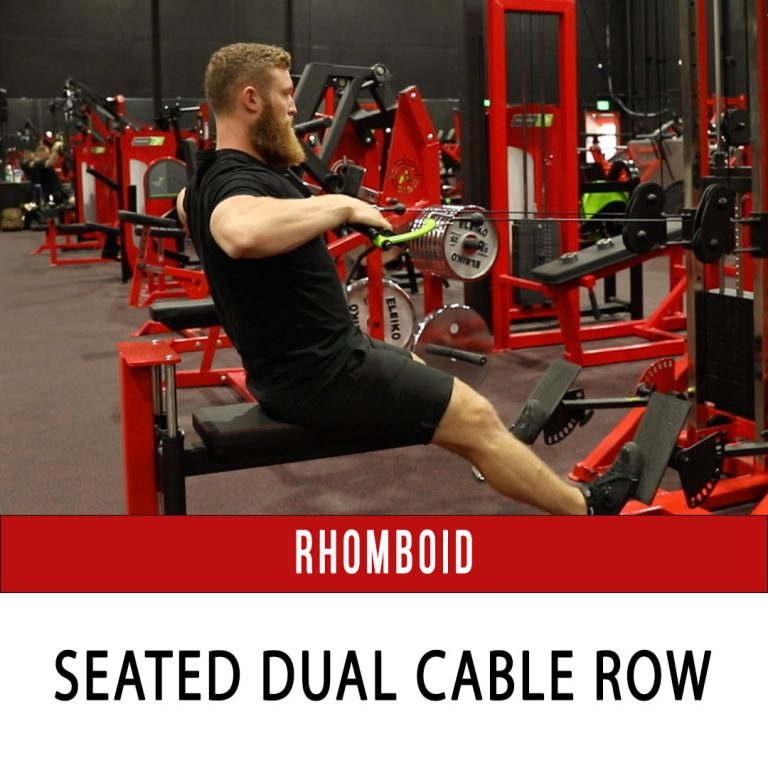 Trap 1 / Upper Trap N1 Training