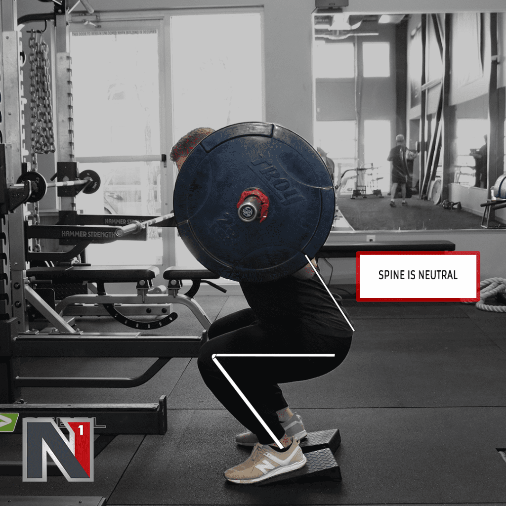 Full Range of Motion Muscle vs Movement N1 Training