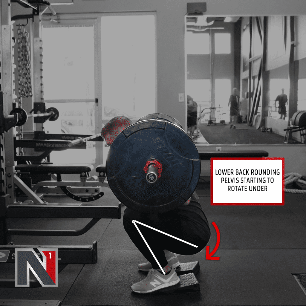 Full Range of Motion Muscle vs Movement N1 Training