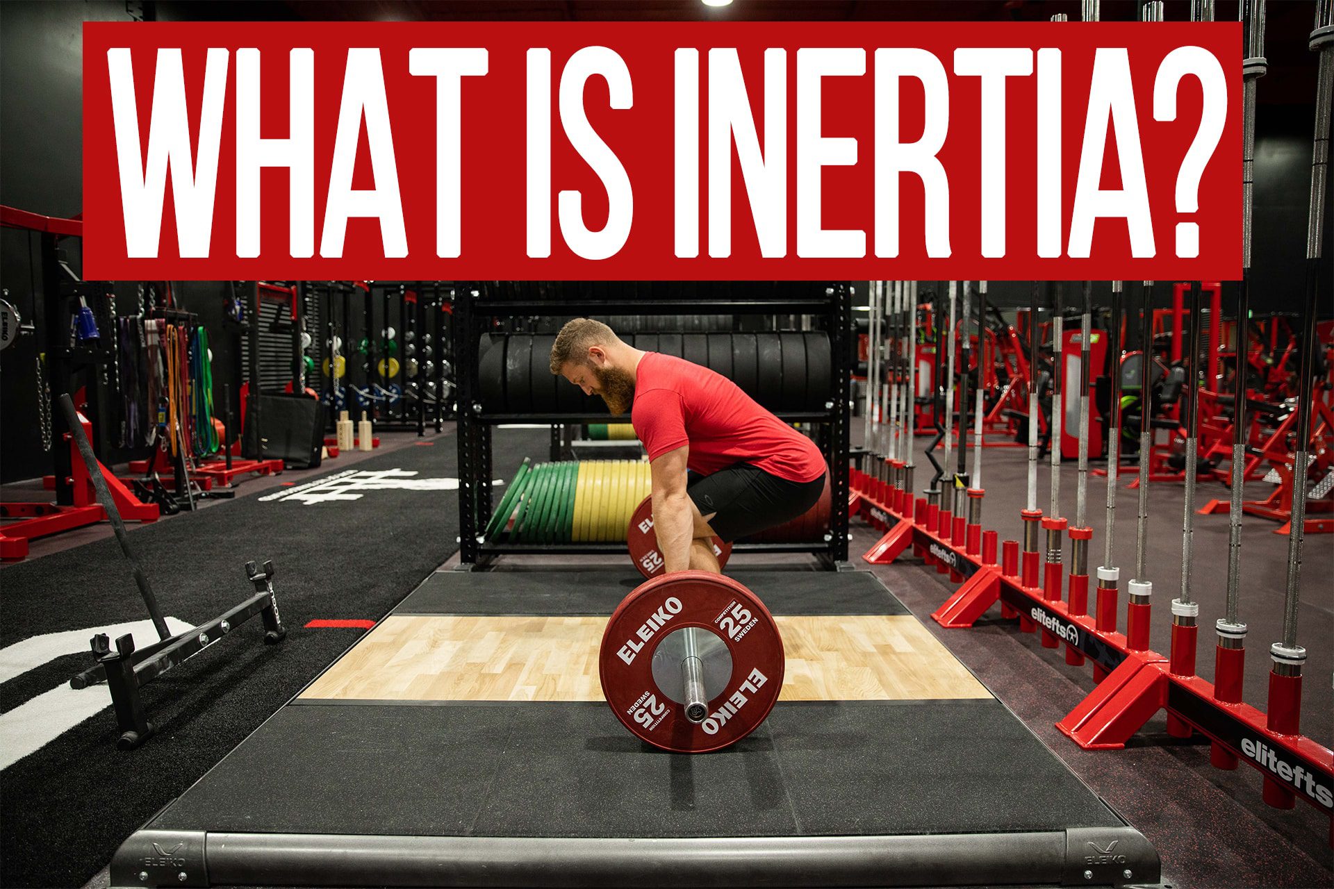 what-is-inertia-n1-training