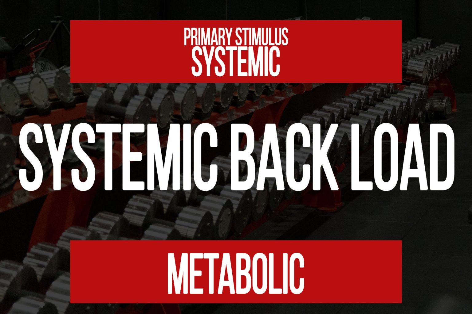 Leg Extension VS Leg Press N1 Training