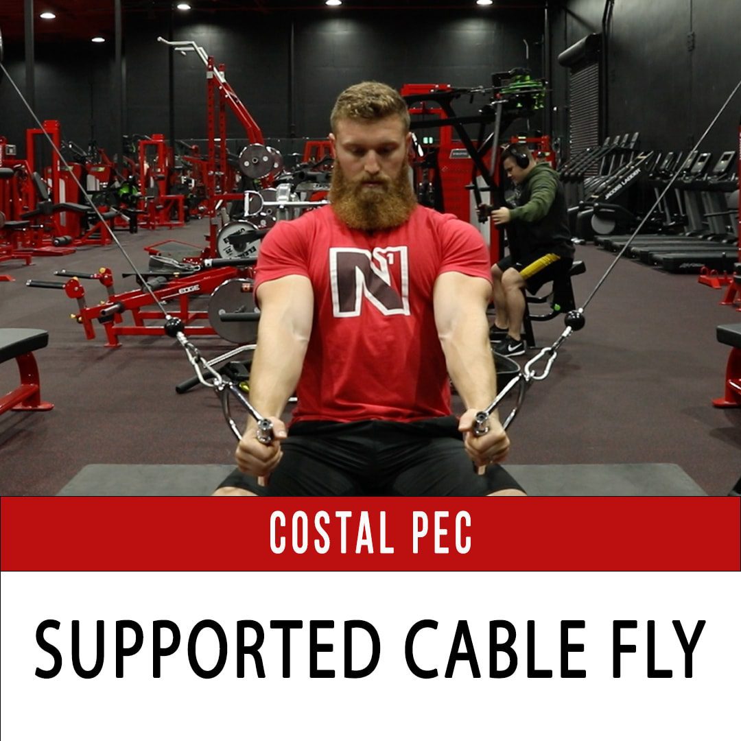 Free Weights VS Cables for Resistance Training - N1 Training