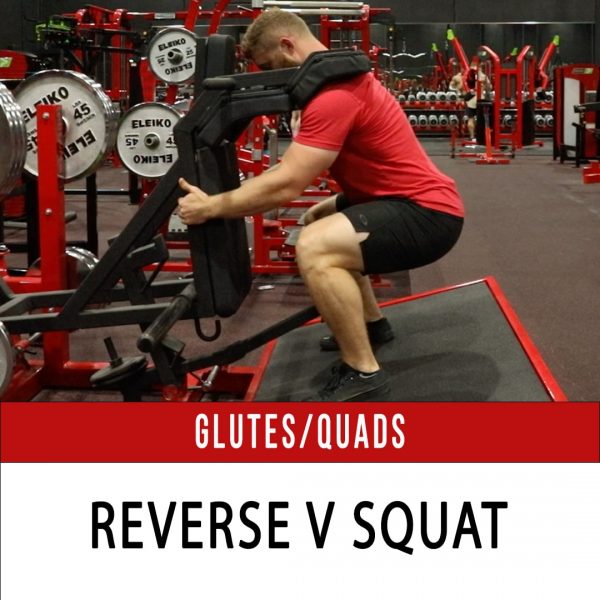 V Squat Power Squat N1 Training