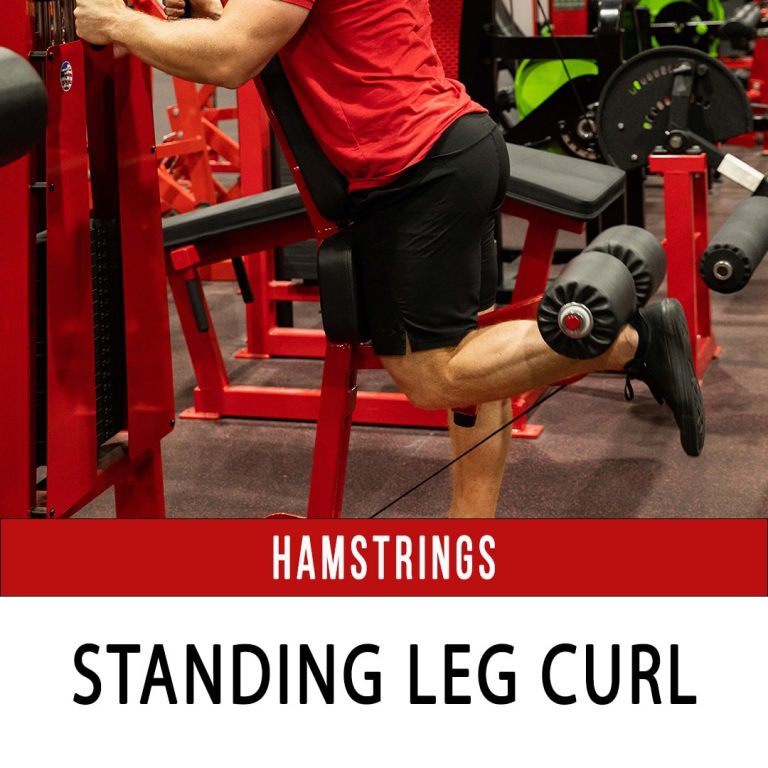 Standing Leg Curl N1 Training