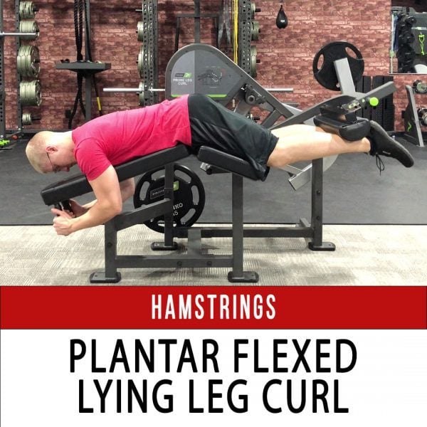 Prime Plate Loaded Lying Leg Curl Archives - N1 Training