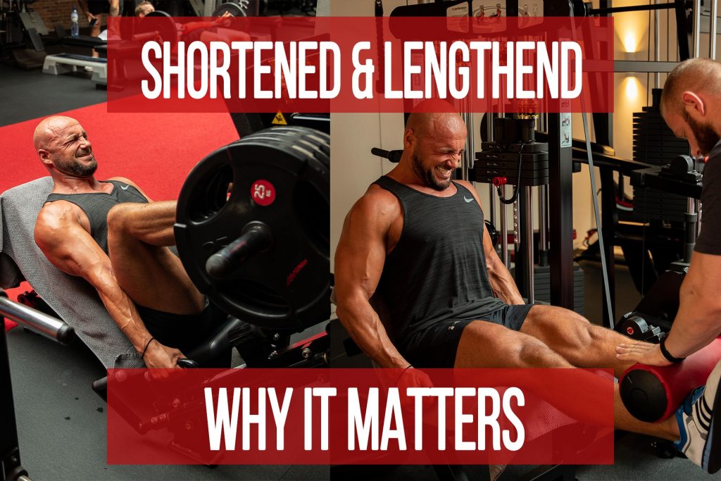 Why Training the Shortened and Lengthened Position of a Muscle Matters