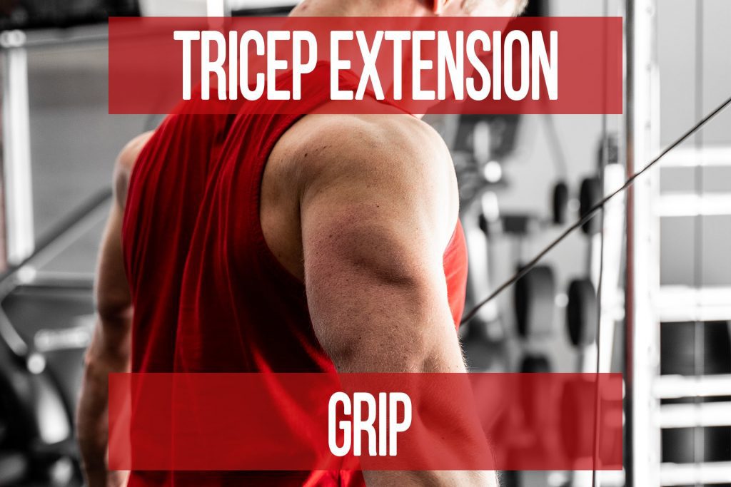Tricep Extension Grip