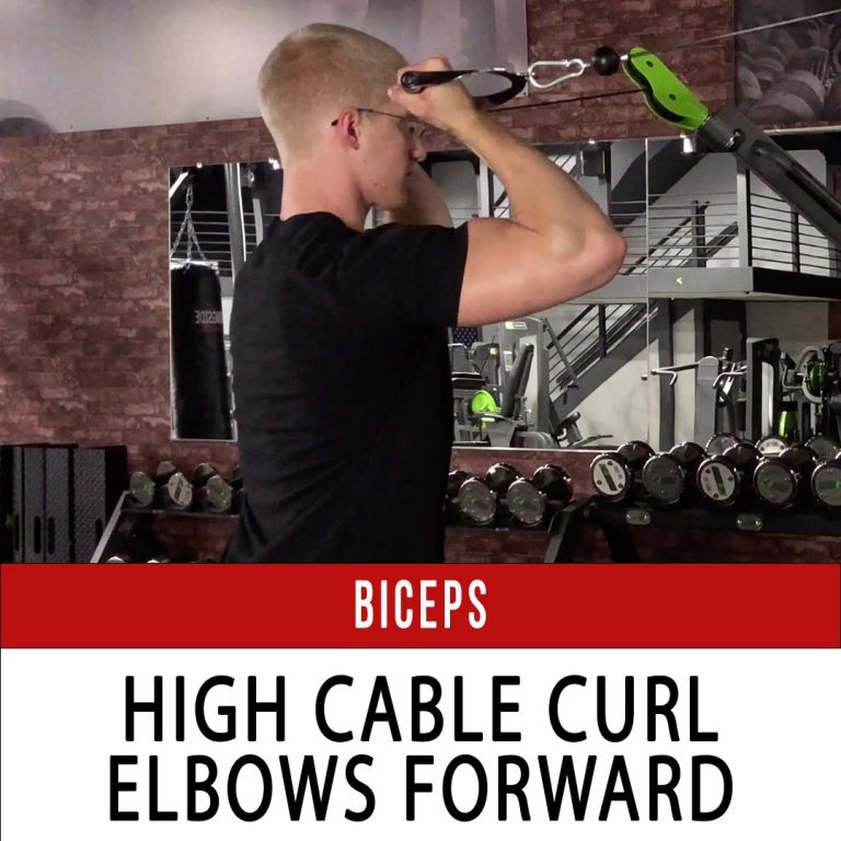 Elbow Flexion Archives Page 2 of 4 N1 Training