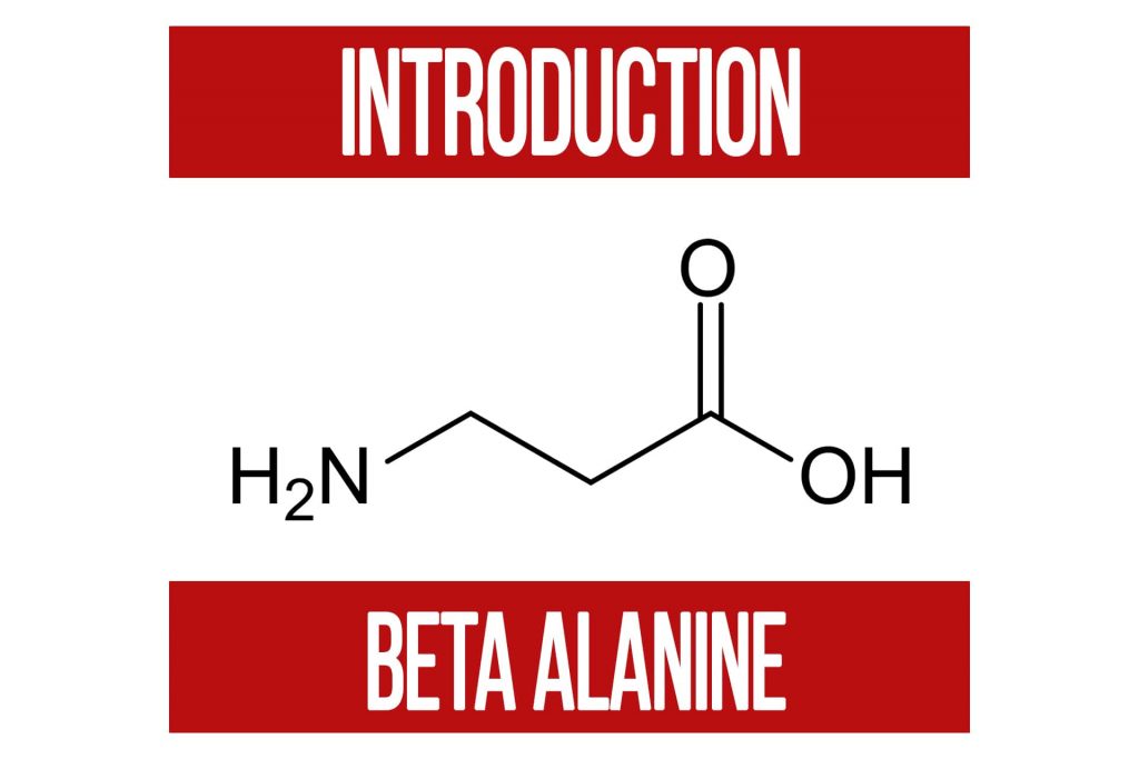 Introduction to Beta Alanine