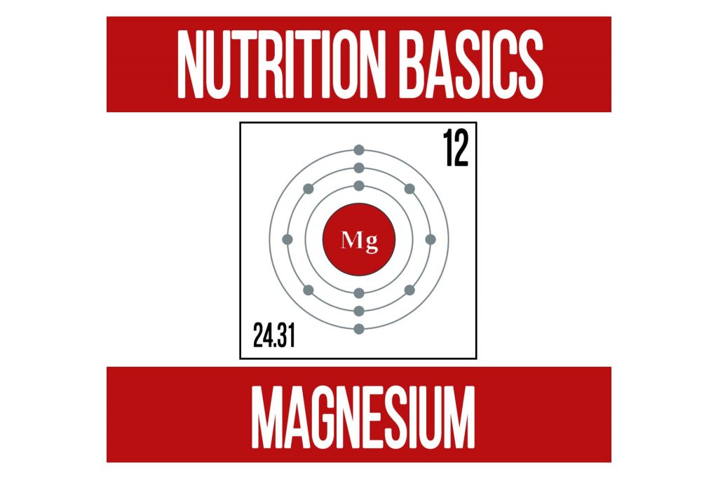 Nutrition Basics – Magnesium