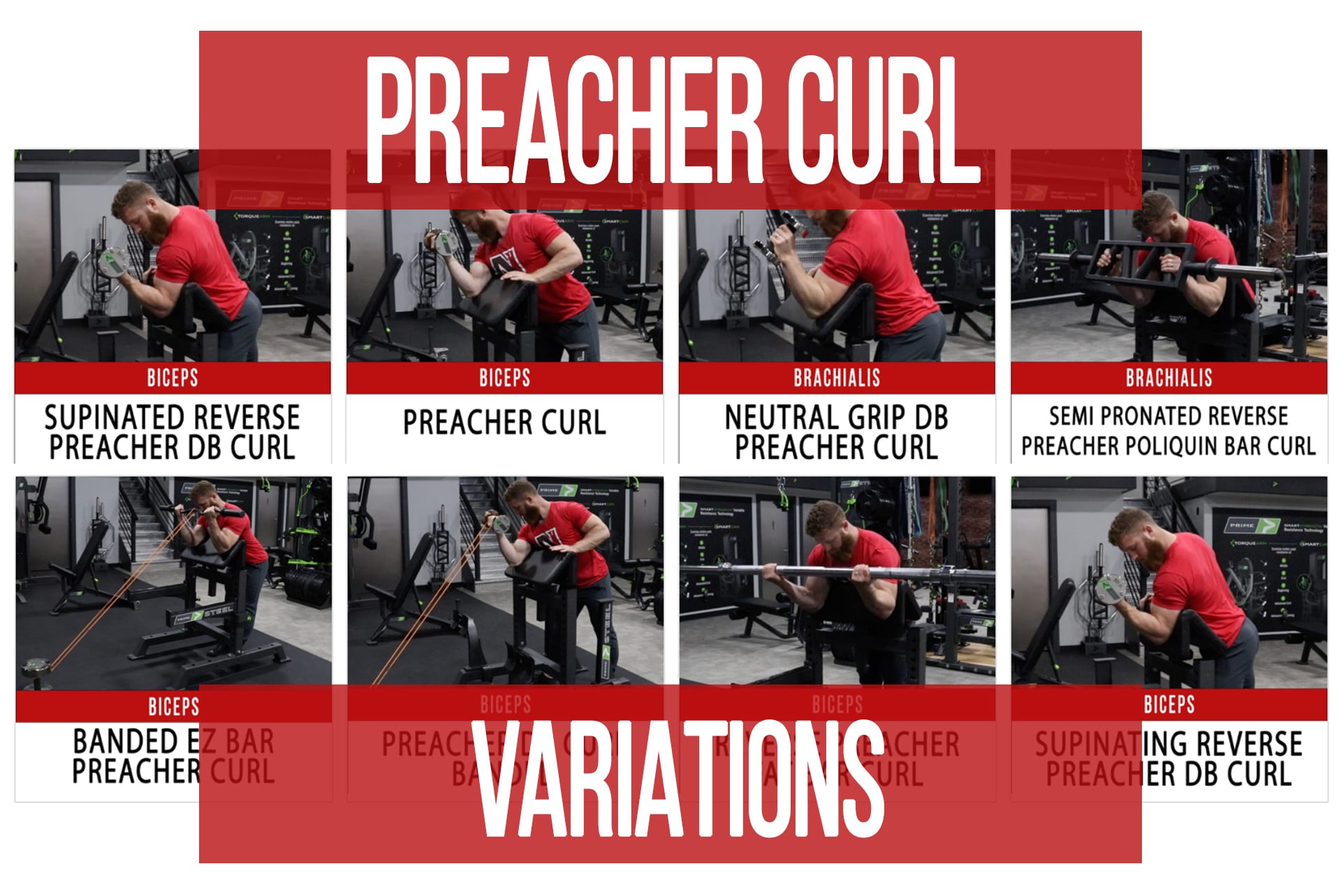 preacher curl