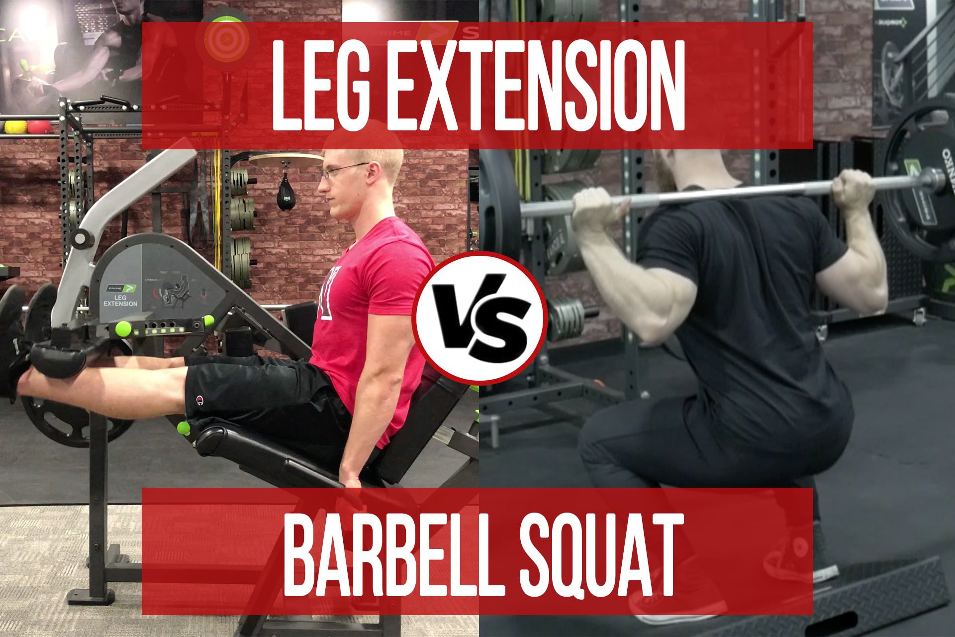 Leg Extension VS Barbell Squat (Updated) - N1 Training