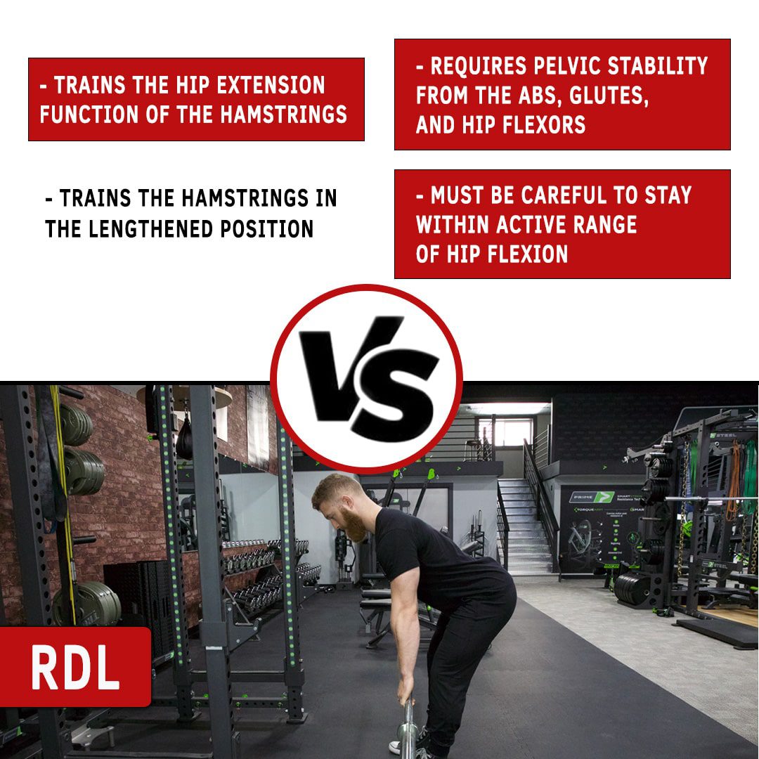 Seated Leg Curl Vs Rdl N1 Training 5185