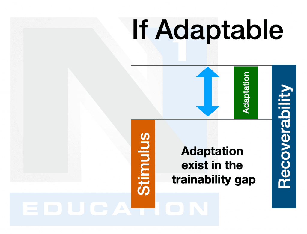"Junk Volume" Definition N1 Training