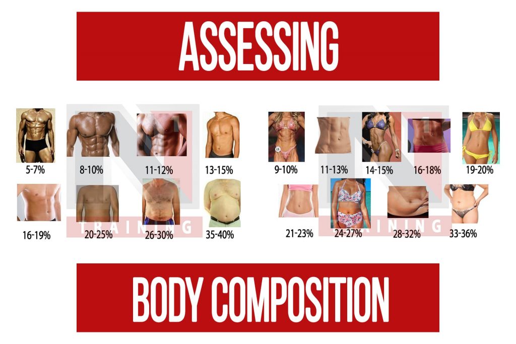 Self Assessing Body Composition