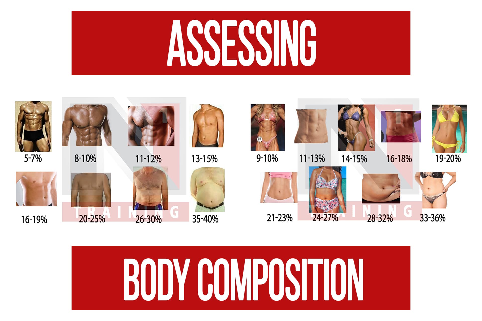 Self Assessing Body Composition - N1 Training