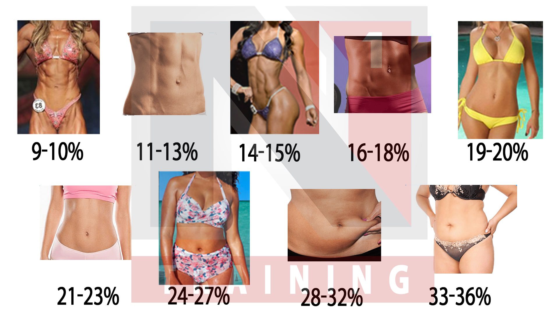 female body fat chart
