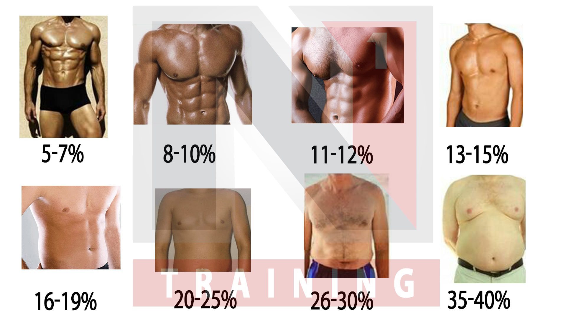 male body fat chart