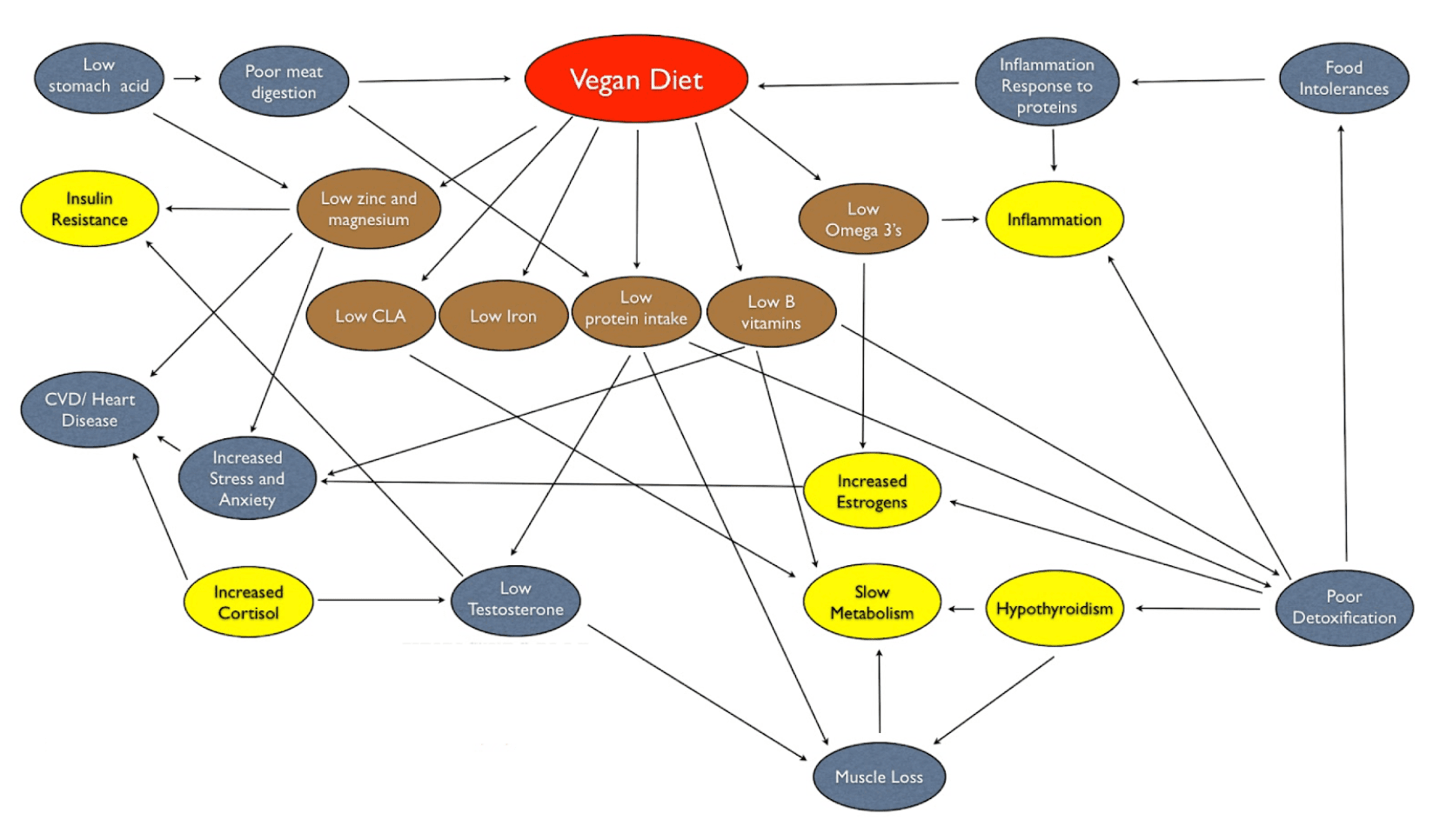 vegetarian and vegan diets flow chart