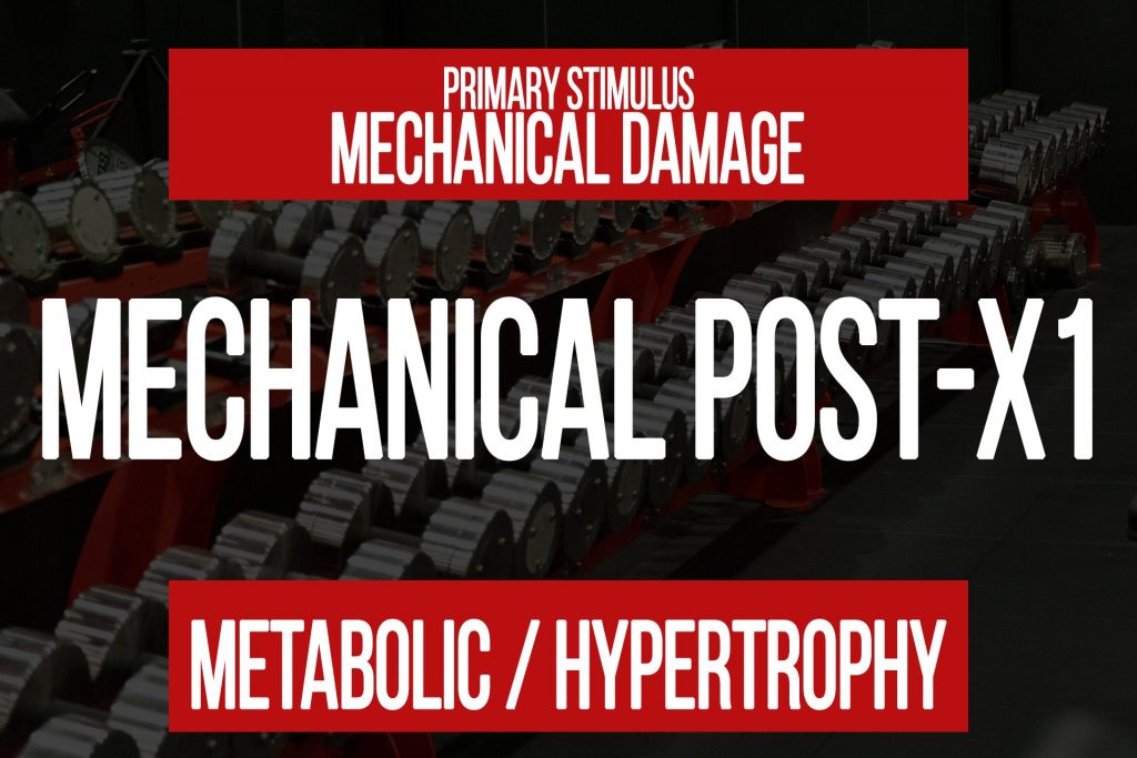 Leg Extension VS Leg Press N1 Training