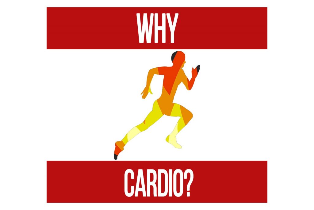 What is the Point of Cardio?