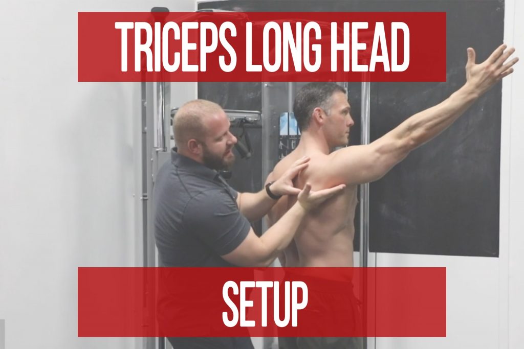 How to Set Up the Long Head of the Triceps