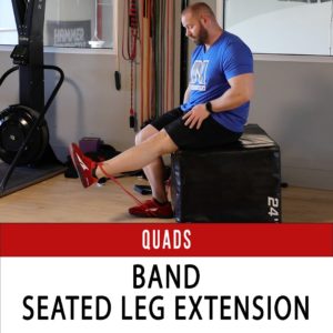 Home Workout Exercises: Quads - N1 Training