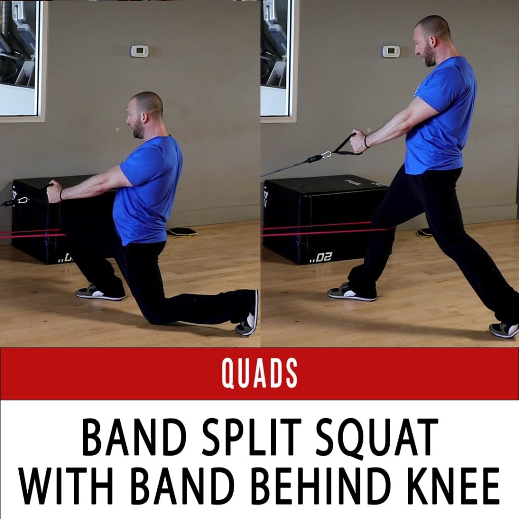 Split Squats - N1 Training