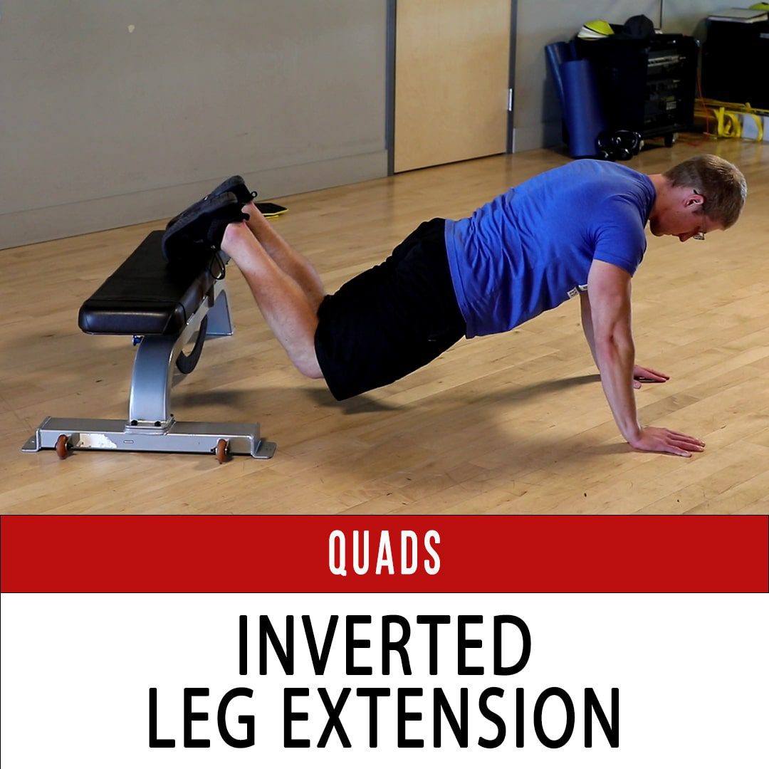 Knee Extension - N1 Training