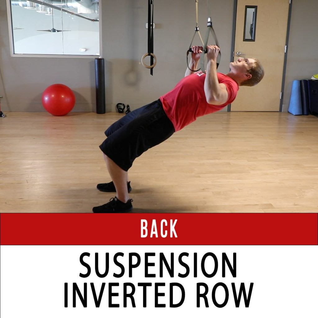 inverted suspension row