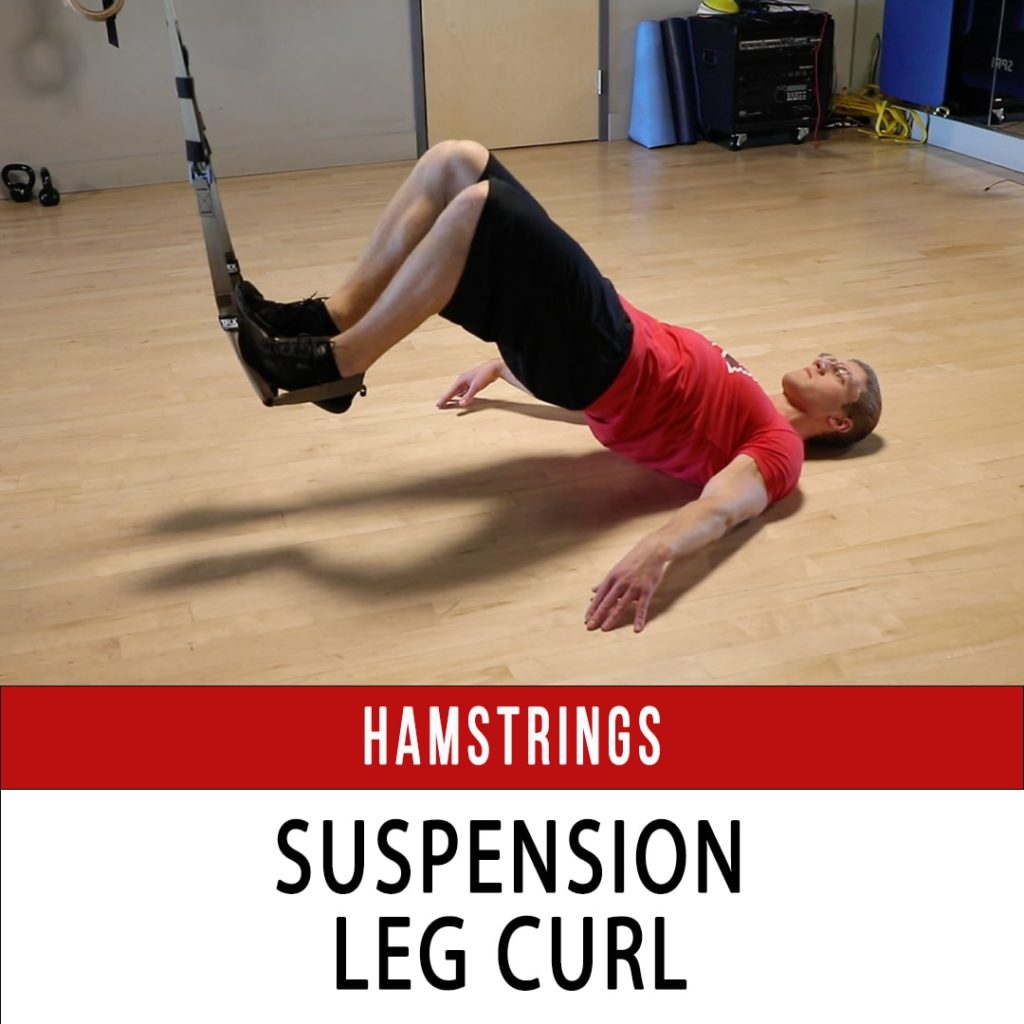 Hamstrings - N1 Training