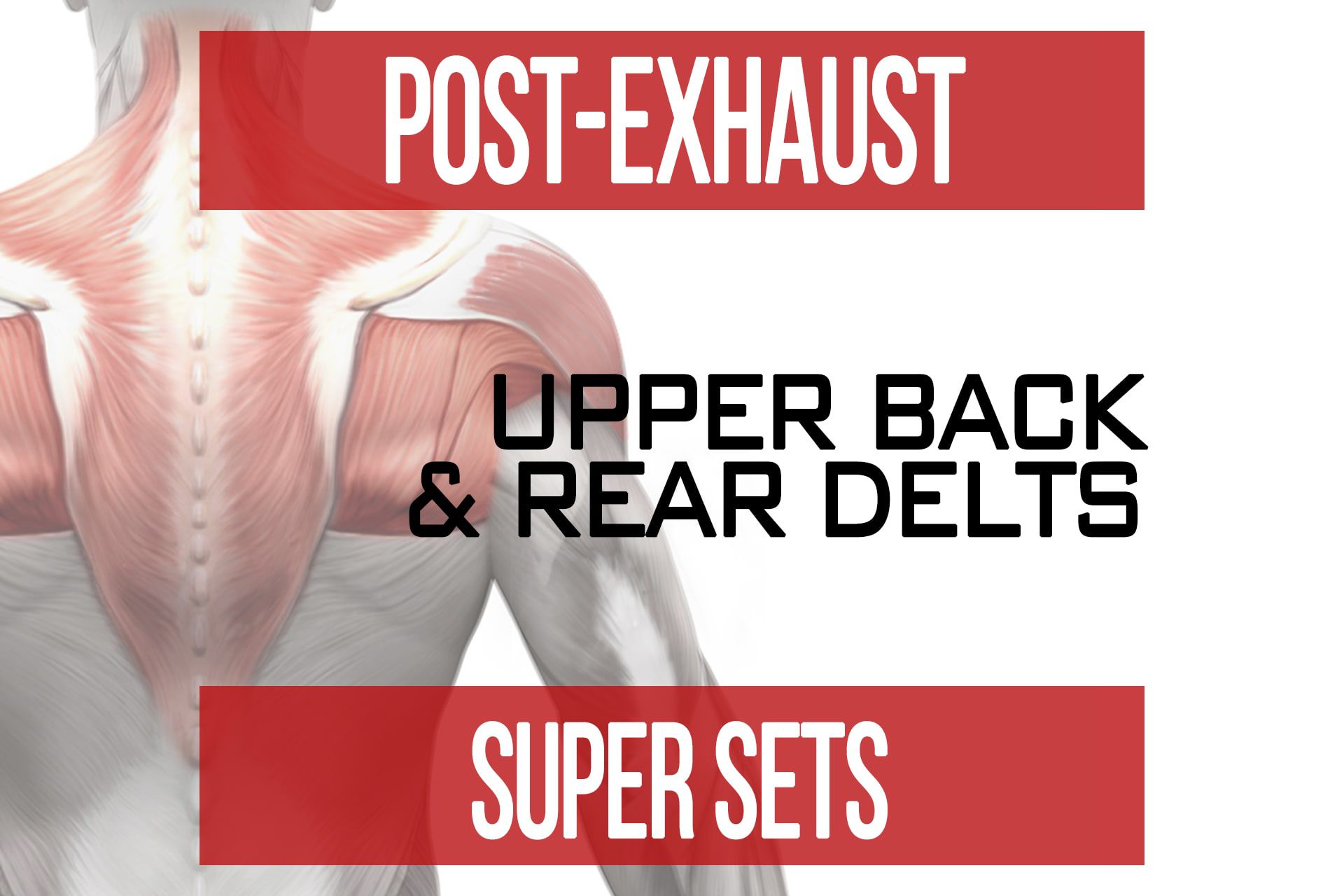 PostExhaust Super Sets Upper Back & Rear Delts N1 Training