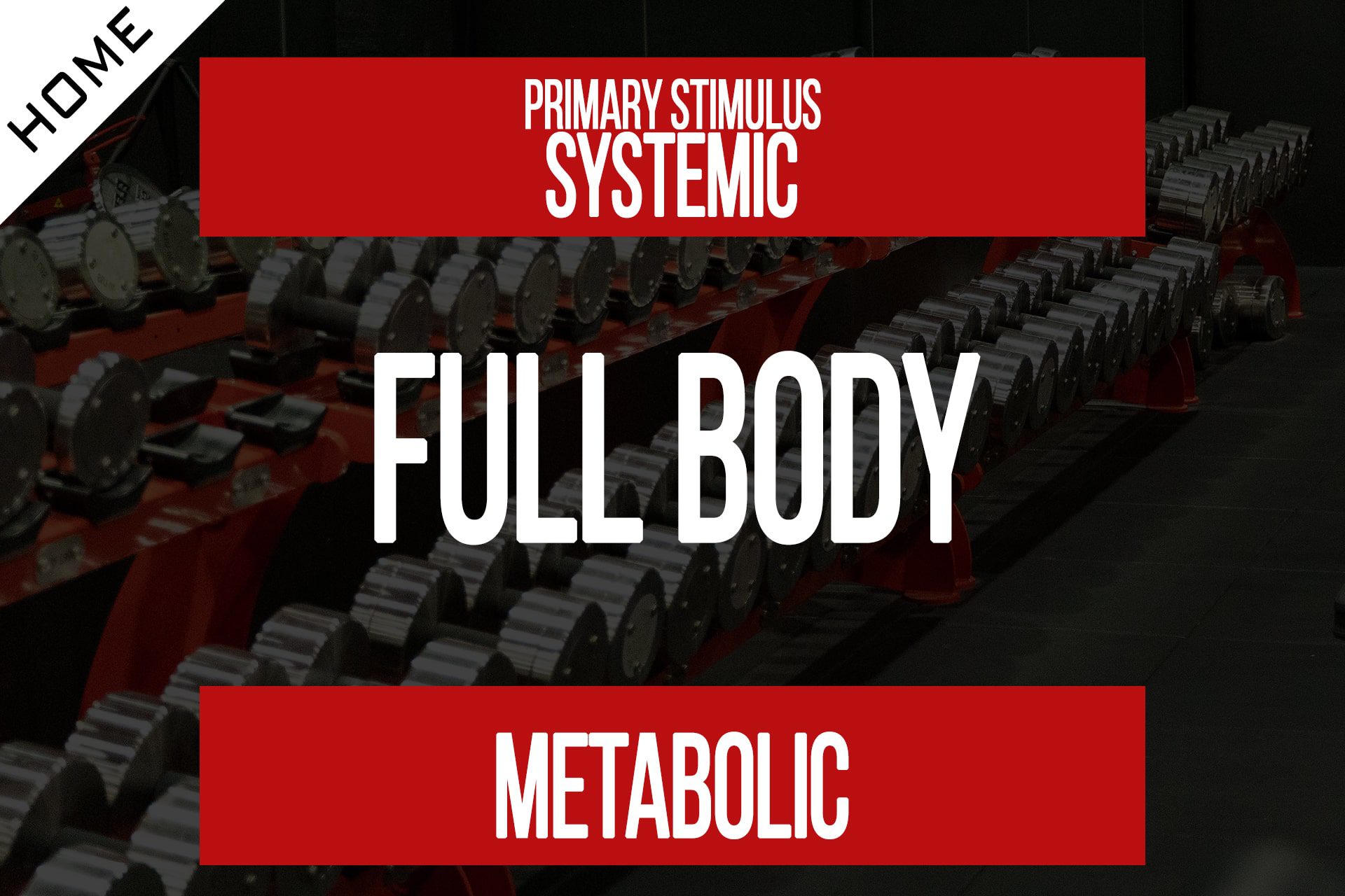 Home Workout – Full Body Systemic