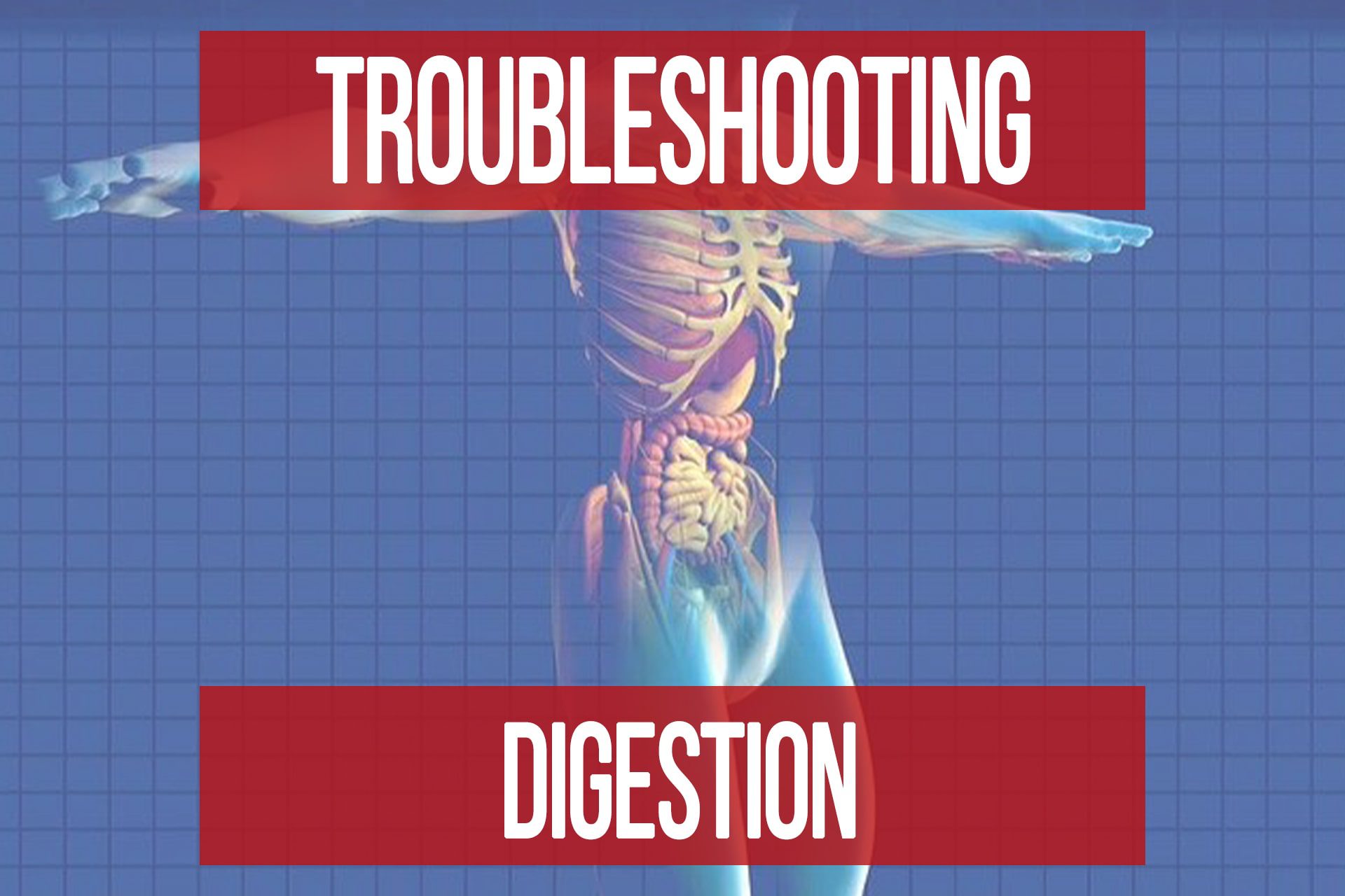 troubleshooting-digestion-basic-tips-action-steps-n1-training