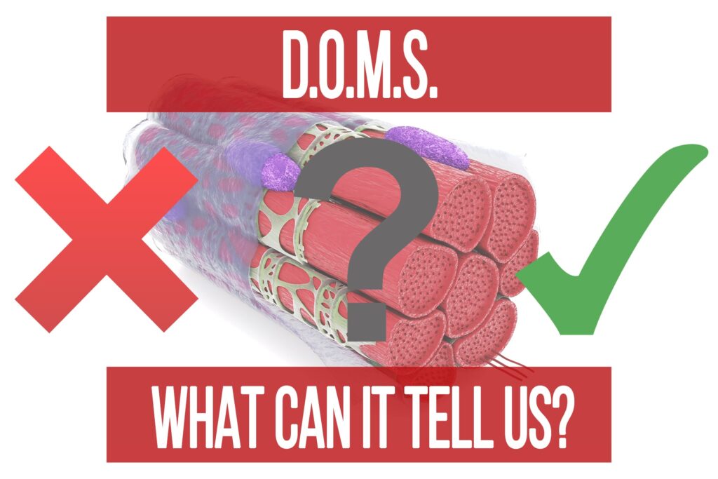 DOMS Delayed Onset Muscle Soreness – What Can It Tell Us?