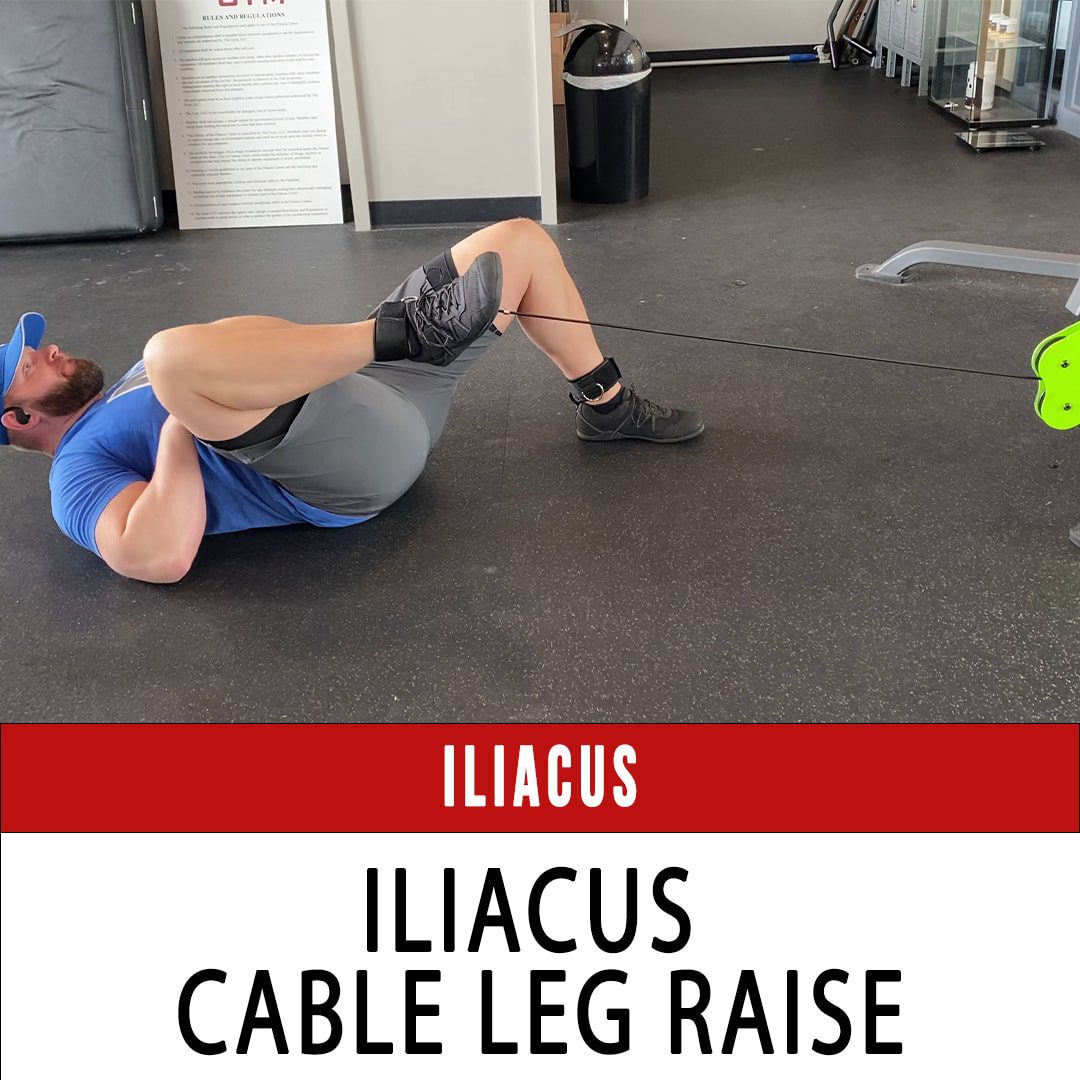 Iliacus Archives N1 Training