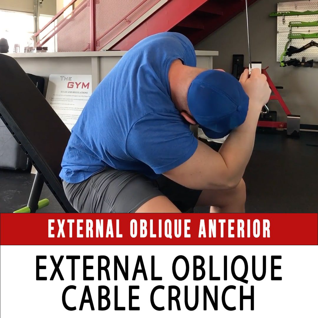 Omni External Oblique Anterior Seated Cable Crunch
