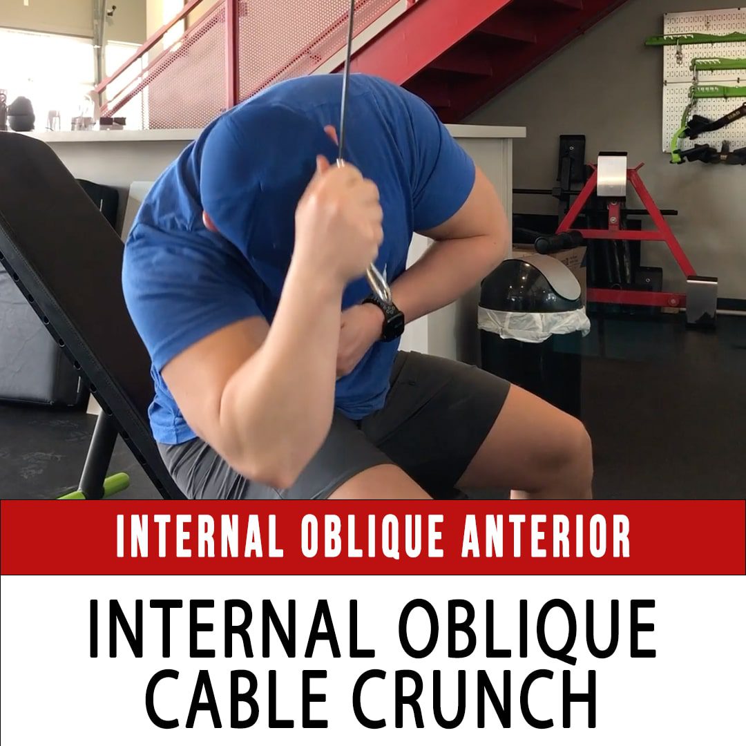 Omni Internal Oblique Anterior Cable Crunch